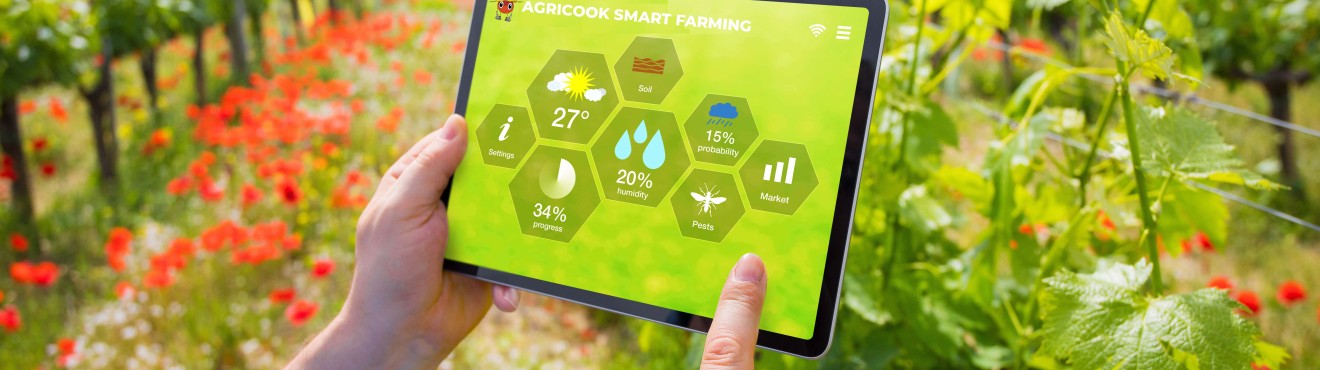 The Future of Sustainable Agriculture: Innovations and Perspectives